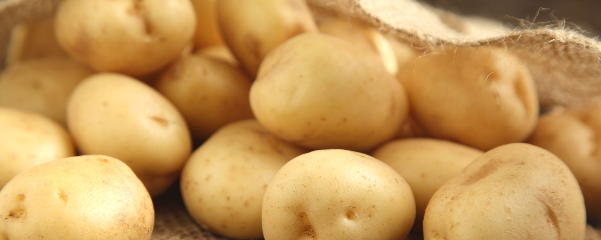 Recherche belegt guten CO2-Fußabdruck für Frischkartoffeln
