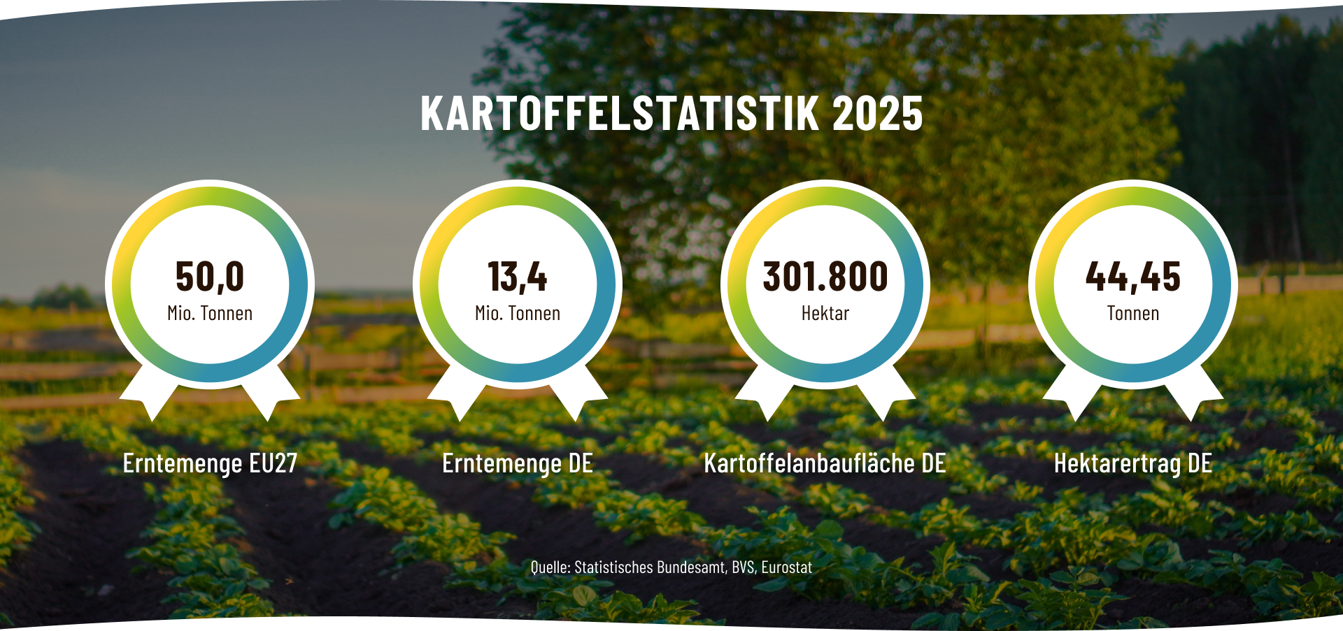 DKHV Kartoffelstatistik 2025 1