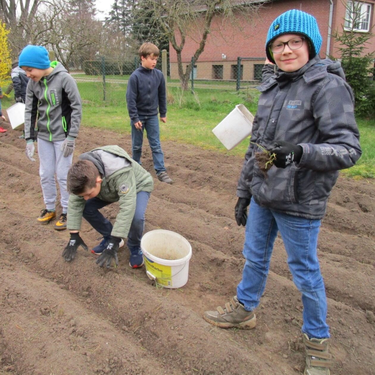 Kinder Kartoffelanbau2